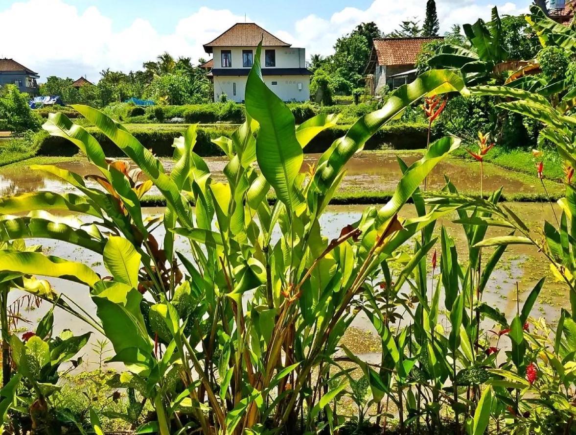 Villa Rendira